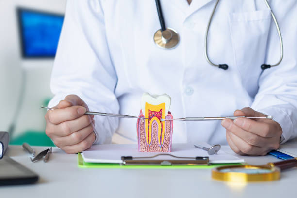 Best Emergency Treatment for Oral Infections in Walker Valley, NY